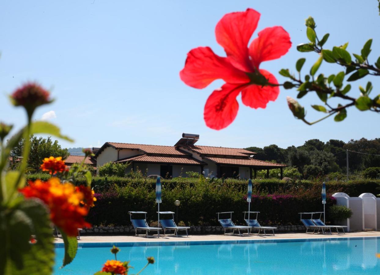 Agriturismo Ninea Ricadi Exterior foto