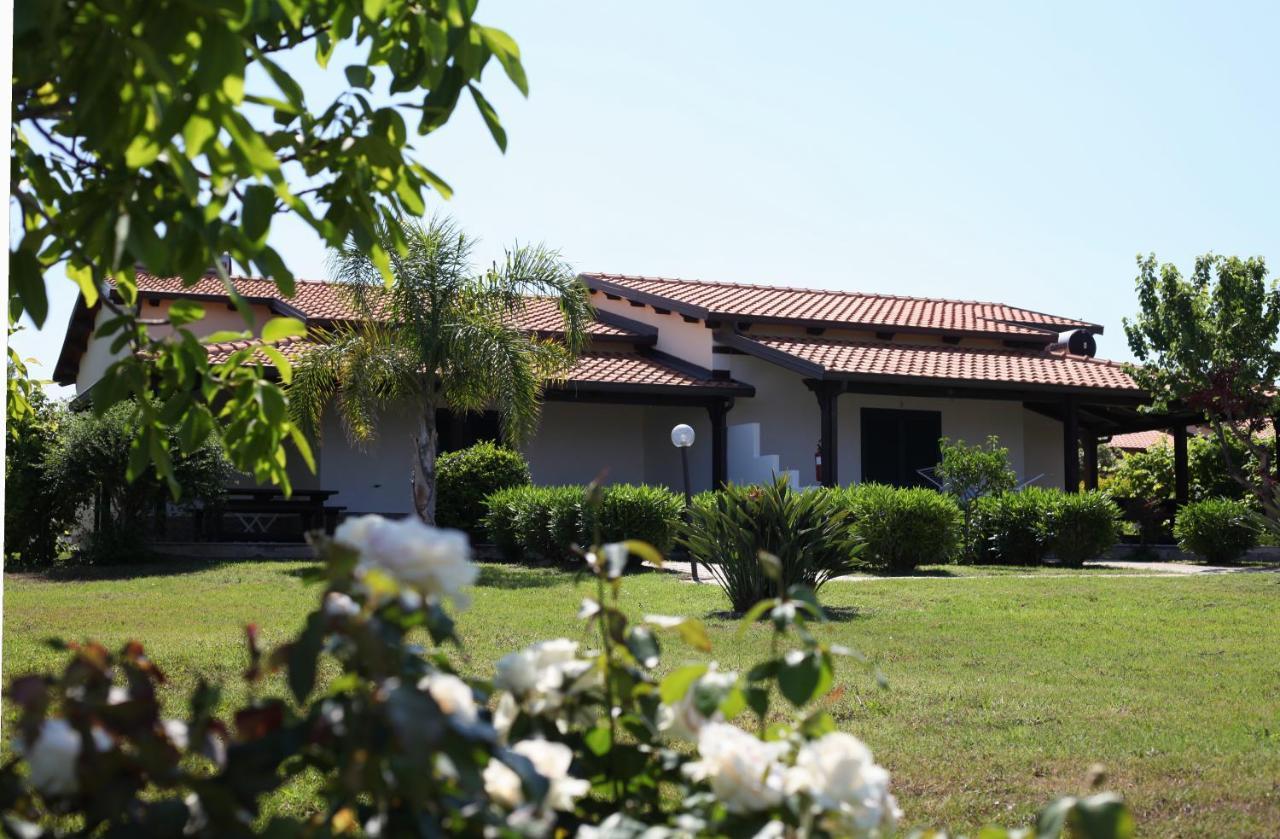 Agriturismo Ninea Ricadi Exterior foto