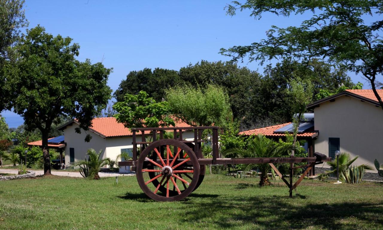 Agriturismo Ninea Ricadi Exterior foto