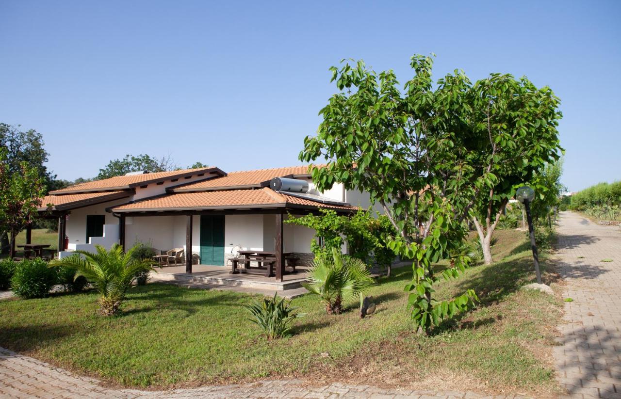 Agriturismo Ninea Ricadi Exterior foto