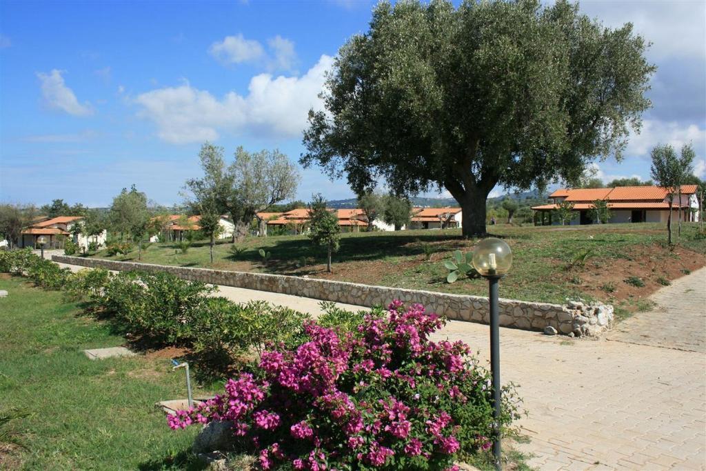 Agriturismo Ninea Ricadi Exterior foto