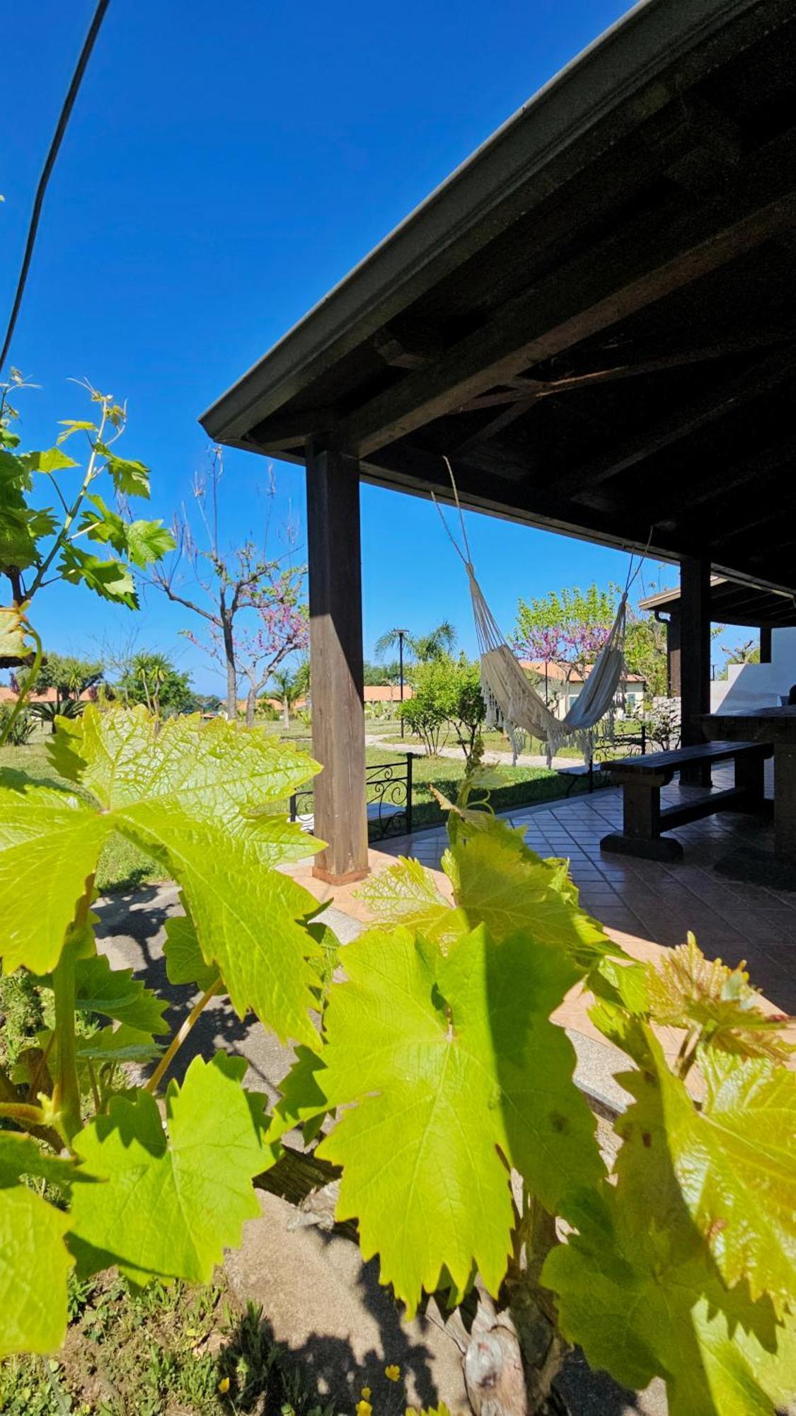 Agriturismo Ninea Ricadi Exterior foto